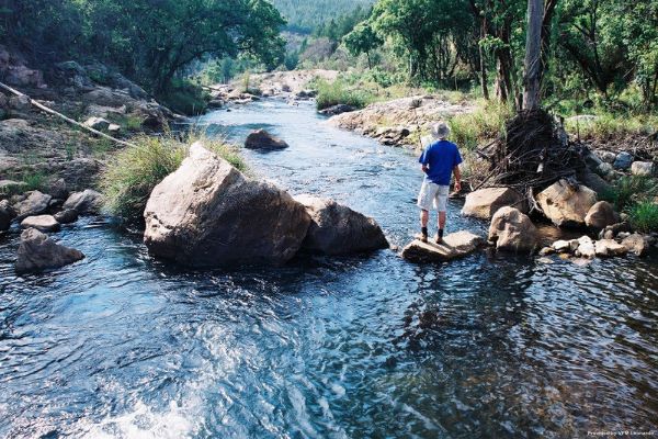 Magoebaskloof Hotel (Tzaneen)